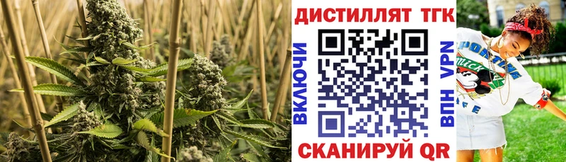 ТГК жижа  hydra ТОР  Емва 