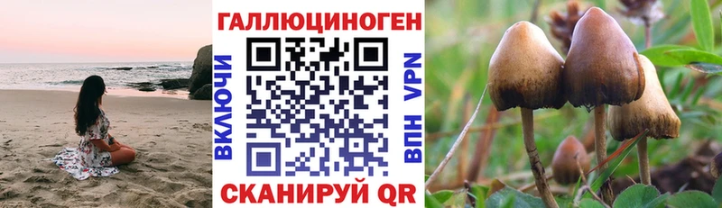 где купить наркоту  Емва  Псилоцибиновые грибы прущие грибы 